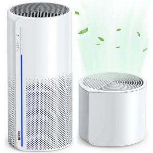 HEPA Air Purifier with Humidifier